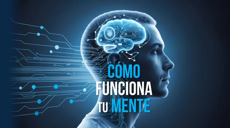 Captura de pantalla 2025-05-27 173600